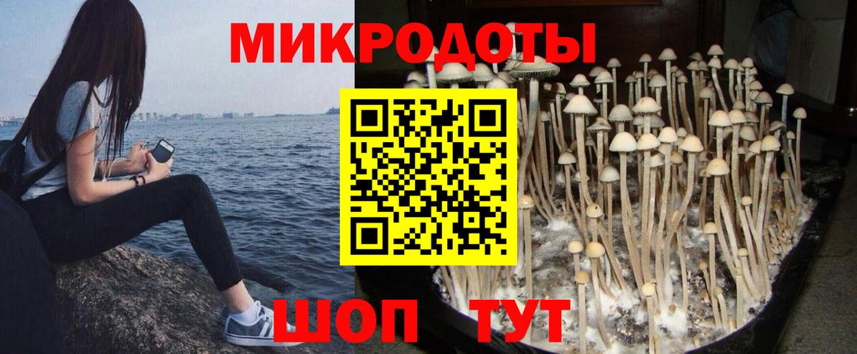 Кириши  Галлюциногенные грибы GOLDEN TEACHER  где купить наркоту  Вход с VPN 