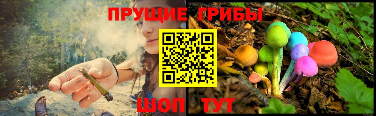 Галлюциногенные грибы мицелий Кириши